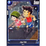 ハル/マキ【C】{FB11-038}