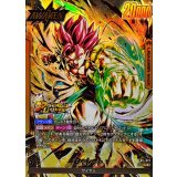 シャレット(パラレル)【L☆】{FB11-073}