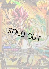 シャレット(パラレル)【L☆】{FB11-073}
