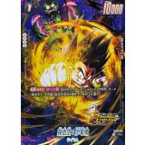 孫悟空：少年期(パラレル/金文字)【C☆】{FS09-09}