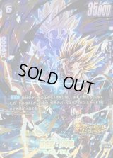 〔状態A-〕孫悟飯：少年期(パラレル/金文字)【SR☆】{FS09-10}