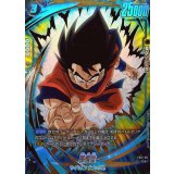 孫悟空(パラレル)【C☆】{FS12-05}