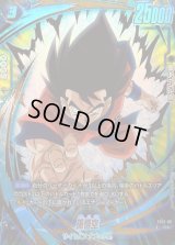 孫悟空(パラレル)【C☆】{FS12-05}