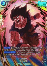 孫悟空(パラレル)【C☆】{FS12-06}