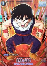 孫悟飯：幼年期(パラレル)【C☆】{FS12-08}