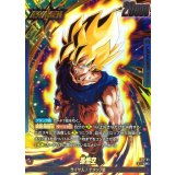 孫悟空(パラレル)【L☆】{FS12-01}