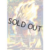 孫悟空(パラレル)【L☆】{FS12-01}