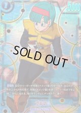 〔状態A-〕ブルマ(パラレル)【C☆】{FS12-14}