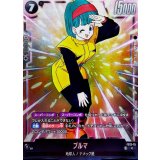 ブルマ【C】{FS12-15}