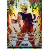 伝説の戦士(パラレル)【C☆】{FS12-17}