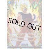 伝説の戦士(パラレル)【C☆】{FS12-17}