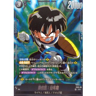 スタートデッキEX 気の躍動[FS12] - カードラッシュ ドラゴンボール