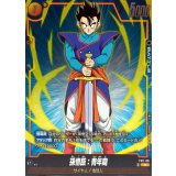 孫悟飯：青年期【C】{FS11-08}