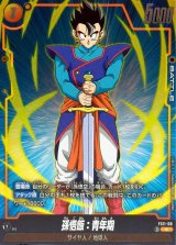 孫悟飯：青年期【C】{FS11-08}