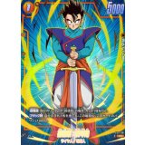 孫悟飯：青年期(パラレル)【C☆】{FS11-08}