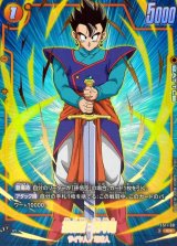 孫悟飯：青年期(パラレル)【C☆】{FS11-08}