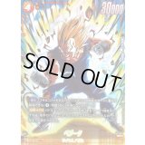 ベジータ(パラレル)【SR☆】{FS11-14}