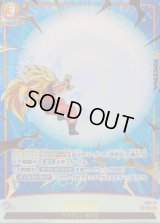 かめはめ波(パラレル)【C☆】{FS11-17}