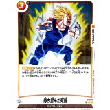 待ち望んだ死闘【C】{FS11-18}