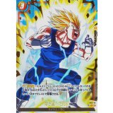 待ち望んだ死闘(パラレル)【C☆】{FS11-18}