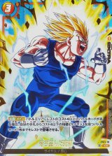 待ち望んだ死闘(パラレル)【C☆】{FS11-18}