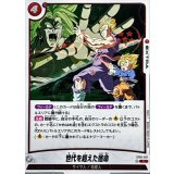 世代を超えた宿命(DBミラー)【C】{ST01-017}