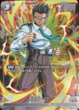 孫悟飯 - カードラッシュ ドラゴンボール