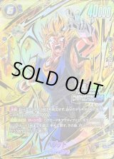 海外限定　ドラゴンボール超カードゲーム　スペシャルリーダーレア　SS4ベジット 海外限定 ドラゴンボール超カードゲーム スペシャルリーダーレア