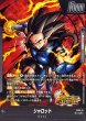 画像2: 〔状態A-〕シャロット(パラレル/金文字)【L☆】{FS09-01} (2)
