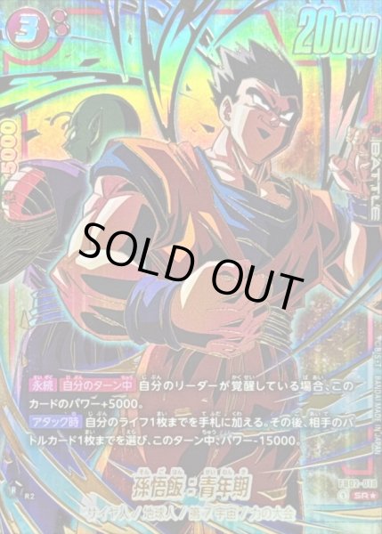 画像1: 〔状態B〕孫悟飯:青年期(パラレル/金文字/孫悟飯&ピッコロ)【SR☆】{FB02-018} (1)