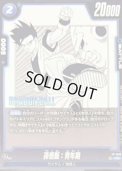 画像1: 〔状態B〕孫悟飯：青年期【PR】{FP-058} (1)