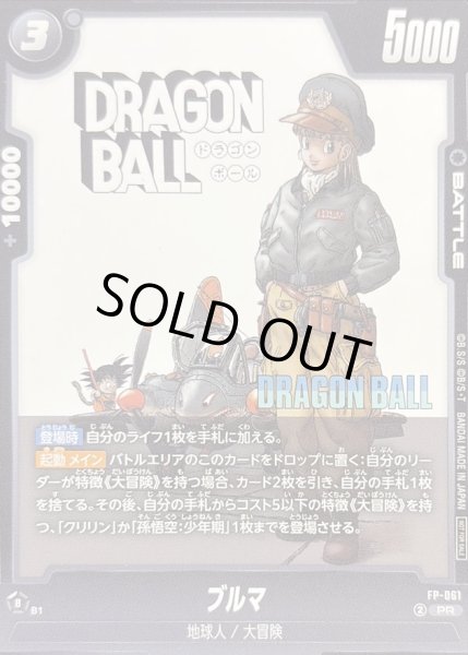 画像1: 〔状態A-〕ブルマ【PR】{FP-061} (1)