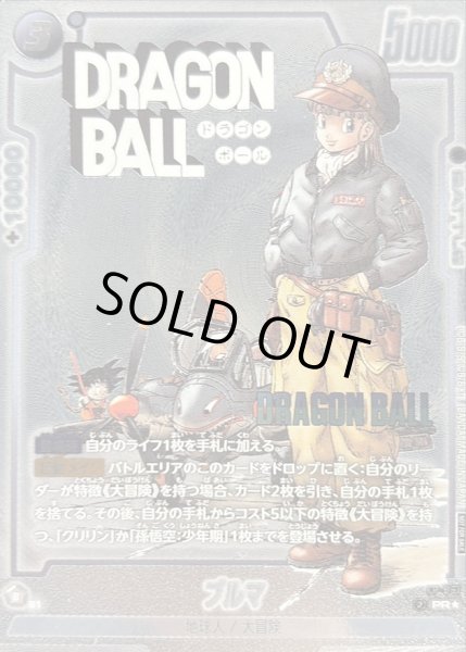 画像1: ブルマ(パラレル)【PR☆】{FP-061} (1)