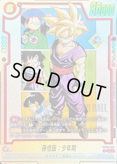 ドラゴンボールスーパーカードゲーム フュージョンワールド