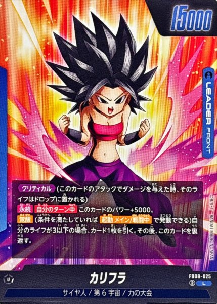 画像2: カリフラ【L】{FB08-025} (2)