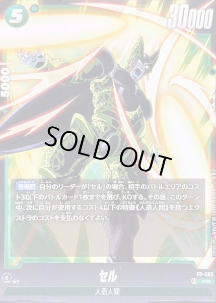 画像1: 〔状態B〕セル【PR】{FP-065} (1)