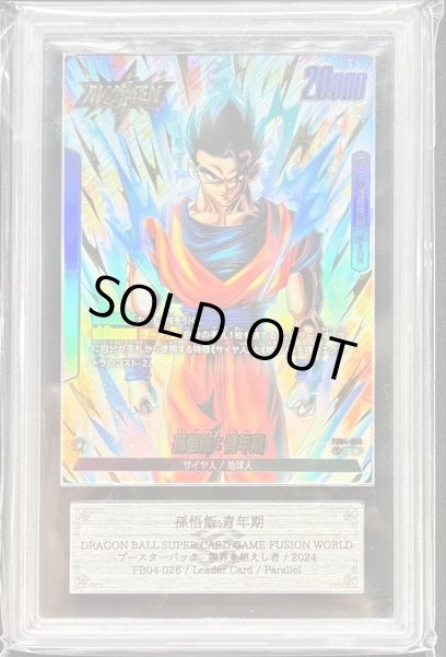 画像1: 〔ARS10鑑定済〕孫悟飯：青年期(パラレル)【L☆】{FB04-026} (1)