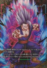 孫悟飯 - カードラッシュ ドラゴンボール