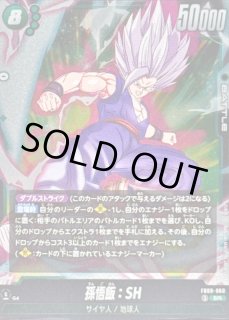 FB09-060 - カードラッシュ ドラゴンボール