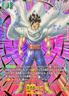 PSA10鑑定済〕孫悟飯：少年期(パラレル)【R☆】{FB01-090}