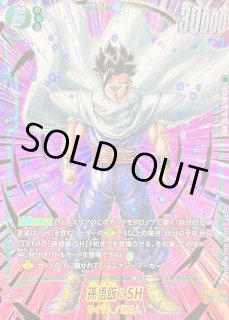 孫悟飯：SH - カードラッシュ ドラゴンボール