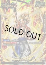 ち*ー様 ゴジータL☆&フリーザSCR 未知なる冒険 ドラゴンボール