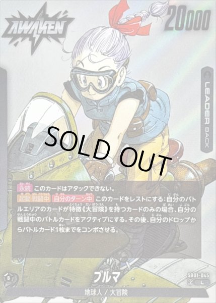 画像1: ブルマ(漫画絵)【L】{SB01-045} (1)