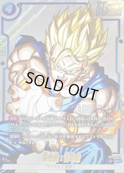 画像1: 孫悟飯：青年期(パラレル/漫画絵)【UC☆】{SB02-026} (1)