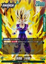 緑悟飯少年期 - カードラッシュ ドラゴンボール