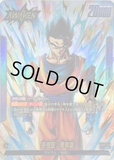ベジットSR パラレル 4枚セット 70726f647563742f32303235303330