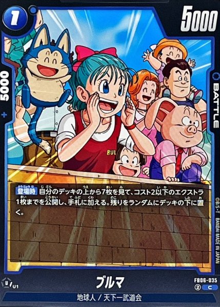 画像1: ブルマ【C】{FB06-035} (1)