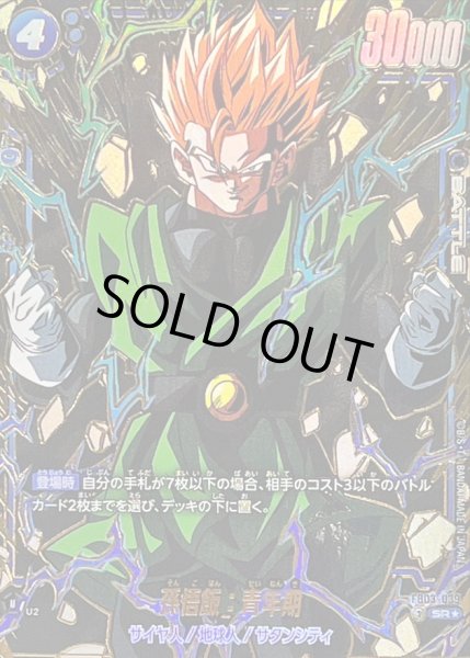 画像1: 〔状態A-〕孫悟飯：青年期(パラレル/金文字)【SR☆】{FB03-039[FB06]} (1)