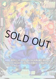 孫悟飯：SH - カードラッシュ ドラゴンボール