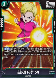 ドラゴンボールカード　クリリン　人造人間18号　BGS10 ゴールドラベル　英語 ドラゴンボールカード クリリン 人造人間18号 BGS10 ゴールド